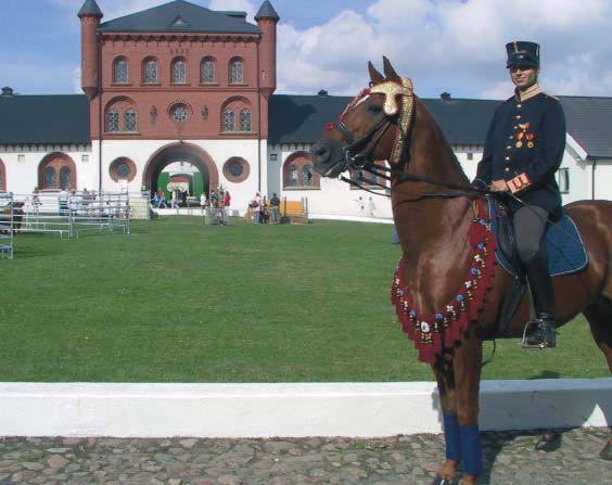 Tomelilla Riksteaterförening Box 80, 273 22 Tomelilla Kp: Christina Gustafson Tel. bostad... 0411-55 21 66 Mobil... 0708-55 21 64 info@tomelillateaterforening.