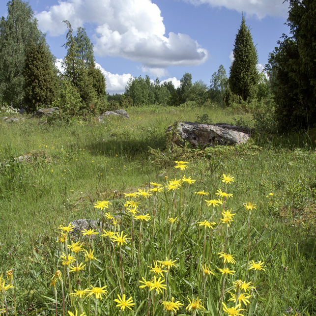 Bevarandeplan för