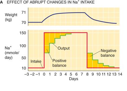 Natriumbalans: Na in - Na ut (njurarna viktigast) i balans Na in = Na ut Kompensationer