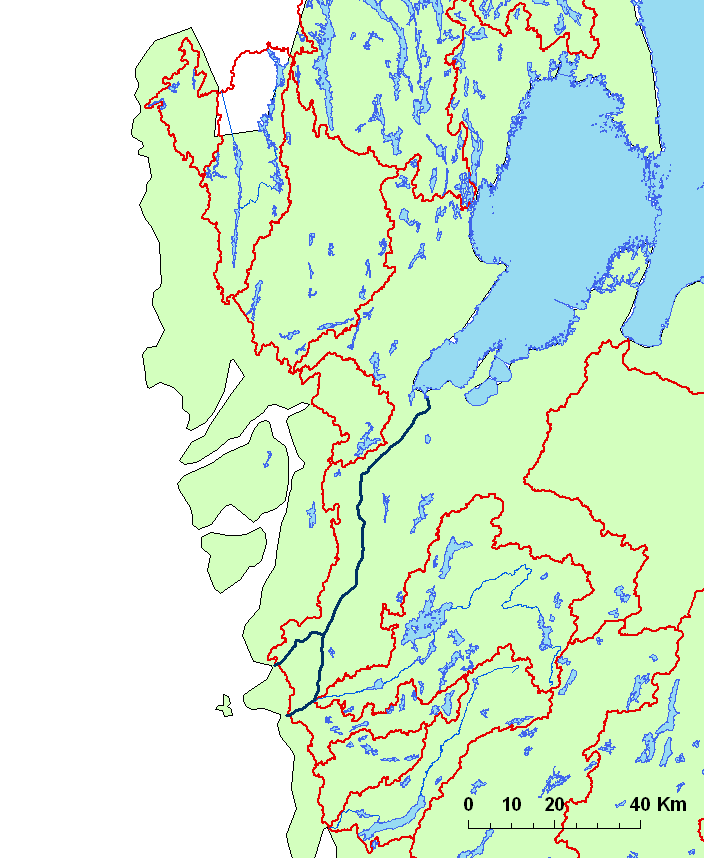 systemet och transportera den landvägen nedströms förbi första vandringshindret (Lagenfelt m.fl. 2008).