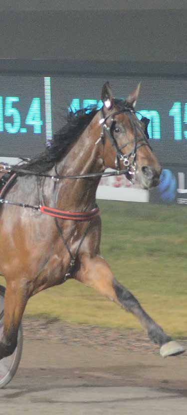 HalmstadTravet Måndag 0 januari Första start kl.