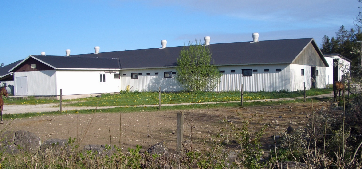 Ekonomibyggnaderna De äldre ekonomibyggnaderna ligger intill bostäderna, vilket ger en trevlig gårdsbild. Byggnaderna utgörs av stall och ligghall/vindskydd.