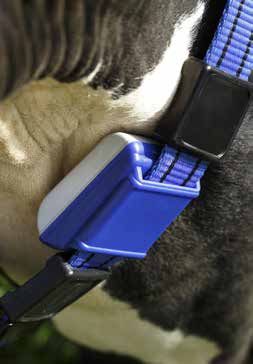 Ett mjölkningssystem som passar alla dina behov Mycket mer än en mjölkningsrobot 17 Smarta tillval till DeLaval VMS som maximerar din kontroll DeLaval body condition scoring BCS: daglig, automatisk