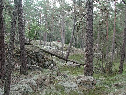 Områdestyp: psci-område enligt Habitatdirektivet.