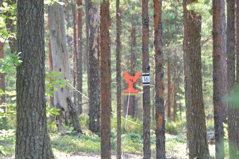 Field Target 2014 är ett år då vi för första gången skickade skyttar på ett mästerskap i Field Target, samt att RM i Field Target genomfördes för första gången.