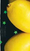 FESTIVALPRISER UTAN SURA TONER. EKO 10k/st EKOLOGISK RUCCOLA/BABYSPENAT Sverige/Coop Änglamark. 70 g. Jfr-pris 142:86/kg. EKOLOGISKA BANANER Ecuador. Klass 1 14)=K CITRONER Spanien. Klass 1. 3x130 g.