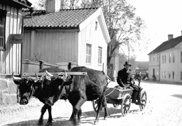 Vilket samhälle finns skolan i?