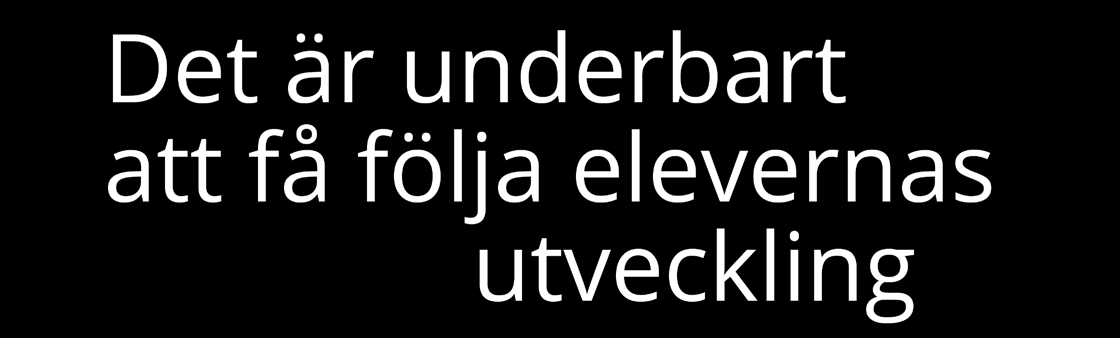 Från 2010 har jag arbetat som yrkeslärare på Hantverksprogrammet Stylist och varit med att utveckla programmet och dess struktur för nya gymnasiereformen Gy11 när den tillkom.