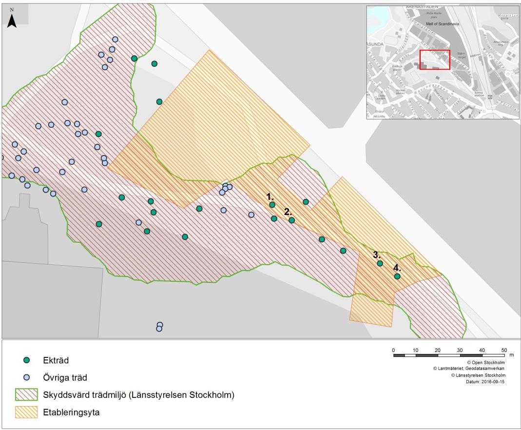 5.3.3 Planförslagets miljöpåverkan Naturmiljö Inga av de naturvärden som finns vid Odenplan kommer att påverkas av projektet, varken under driftskedet eller som en konsekvens av byggskedet.