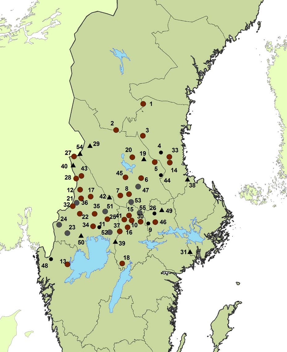 Familjegrupp Familjegrupp med årsvalpar