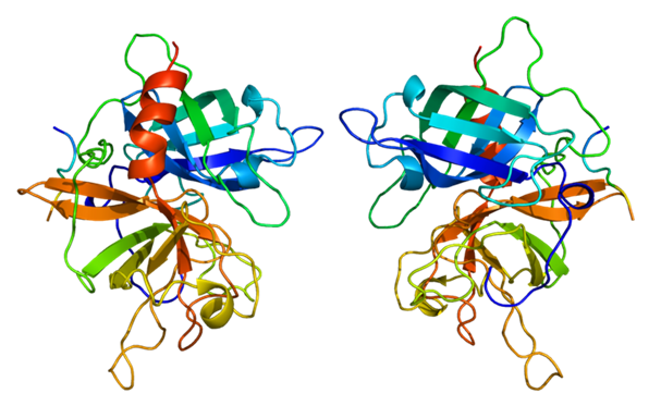 Prostaglandinderivat Prostacyklinanaloger CH CH H H H H Iloprost H H Prostacyklin Treprostinil 25 Fibrinolytika -Trombolytika Plasminogenaktiverare serinproteaser som diffunderar