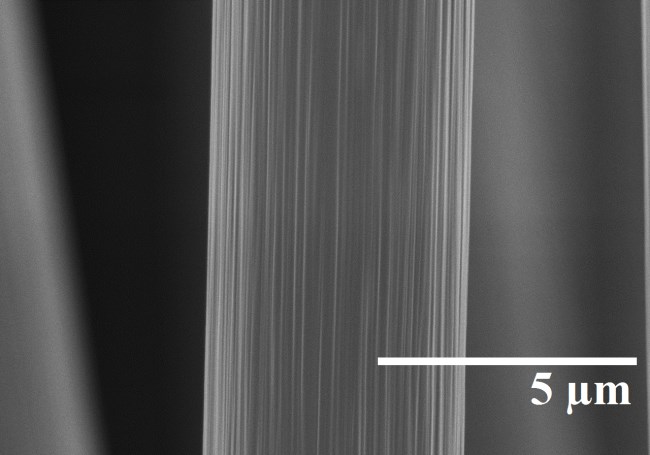 Solid polymerelektrolyt beläggning Individuella kolfiber kan beläggas med en solid polymerelektrolyt för realisera ett 3D mikrobatteri Rå fiber Belagd fiber Kringgå låg jonledningsförmåga
