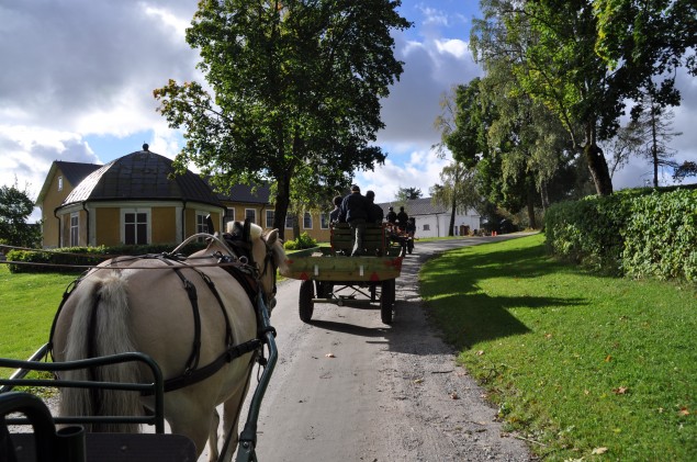 Kuskutbildning i Brukshästkörning Med brukshästkörning menas körning med häst inom jordbruk, skogsbruk, skötsel av parker och andra anläggningar, turism och utflykter samt körning med olika typer av