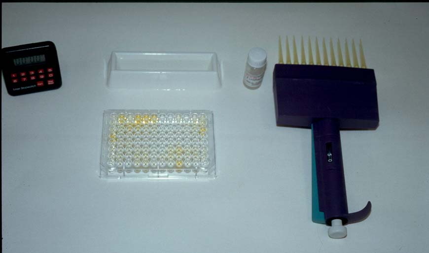 Figur 4. Material för ELISA För en del av proverna gjordes spädningsserier för att beräkna aviditeten med hjälp av slutpunktstitrar enligt beskrivning av Jenum et al (1997).