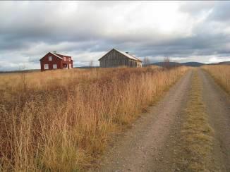 Historik I Pauki upptogs ett nybygge år 1848 av Olof Mickelsson. Nybygget förlades till en moränås vid en fiskrik sjö, intill vida myrar.