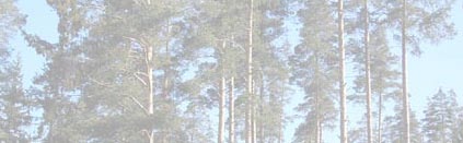 Skogen bidrar även till lokal kultur CAL