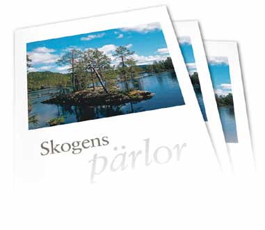 Hitta dina egna i Medelpad www.areskoog.se www.areskoog.se Hitta dina egna pärlor i Medelpads skogar SCA är Medelpads största markägare.