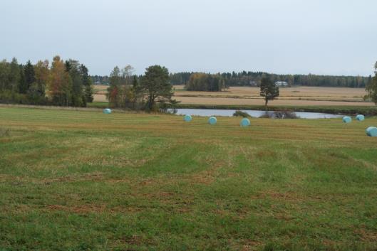 FCG DESIGN OCH PLANERING AB Mikonkeidas vindkraftspark 224 Siikais allmogearkitektur Objektet Siikais allmogearkitektur (Siikaisten talonpoikaisarkkitehtuuri), som ingår i RKY 2009, finns i ett