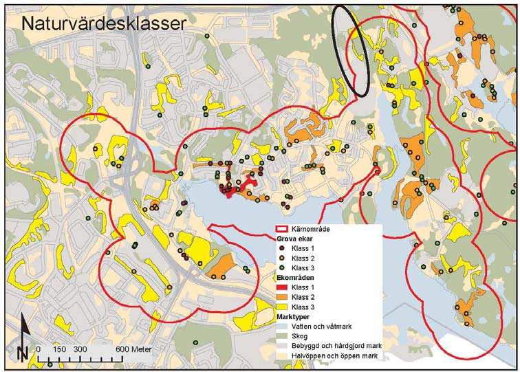 23 mängden lavar är tämligen liten i Stockholm. (Källa: Stockholms unika ekmiljöer förekomst, bevarande och utveckling.