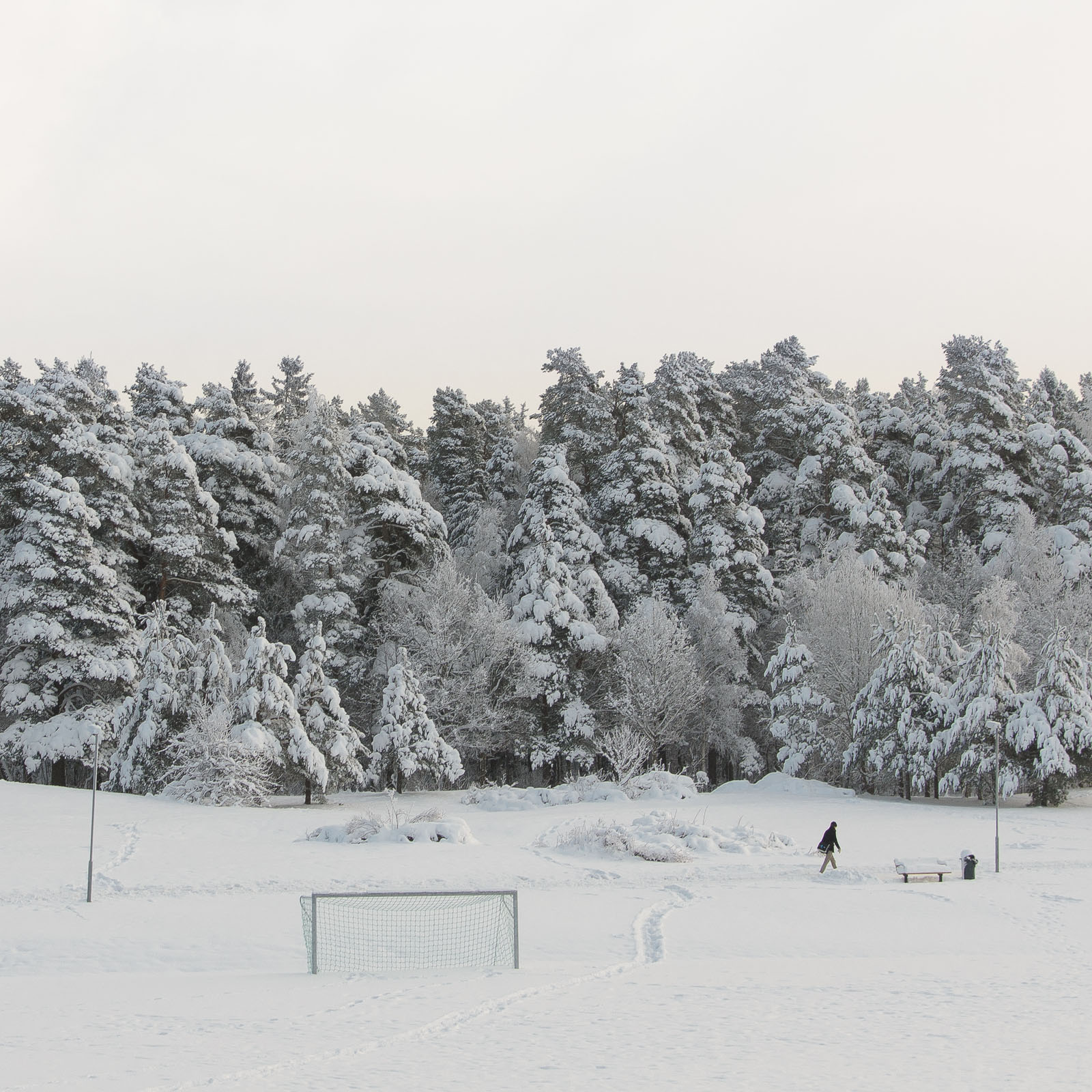 Vinterlandskap Foto: Oscar Carlsson