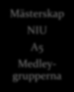 Tränare (tillsvidareanställning) Henrik Klubbdirektör Jonas 100 % Lolof 100 % Magnus 70 % Sten 100 % Sverker 100 % Mästerskap Elittränare NIU A1 & A3