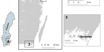 Metod Upplägg Olika tecken på övergödning, förändrad hälsostatus hos abborre samt fiskbeståndseffekter undersöktes 2006 vid tre lokaler i en gradient från referenslokalen Kvädöfjärden via Missjö till