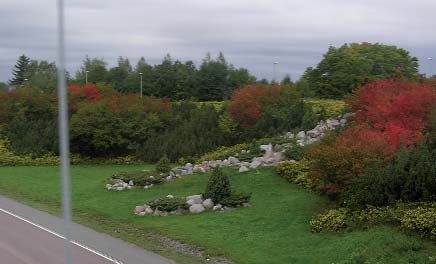 REFERENSBILD GÅNGTUNNEL I BOLLNÄS. DELELEVATION SEKTION GENOM VÄGPORT REFERENSBILD. SLÄNTEN GES EN VÅRDAD KARAKTÄR MED BLOMMANDE TRÄD ELLER BUSKAR.