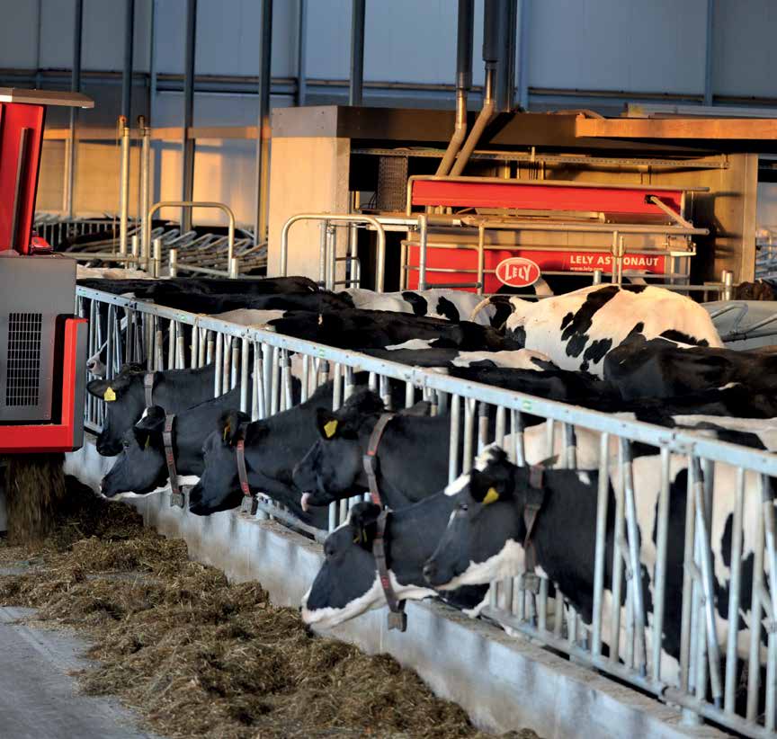 BORTOM MJÖLKPRODUKTION Fördelarna med Lely Vector sträcker sig bortom bara mjölkproduktion. Flexibel utfodring av färskt foder är värdefullt också vid köttdjursuppfödning.