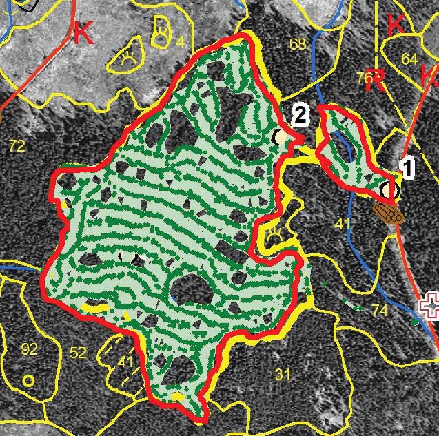 Objekt Brännfallet 155366_1 Areal (ha) beräknad utifrån Manuell mätning