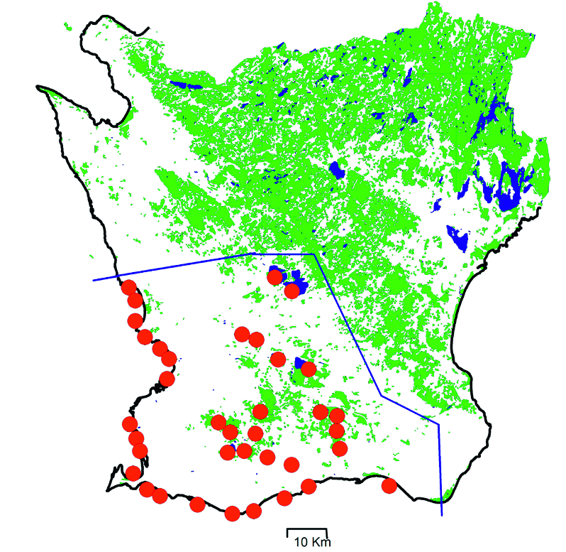 selection of staging and wintering geese was studied more extensively in South-west Scania, south Sweden during 1956/57 1958/59 (Markgren 1963) and 1977/1978 1986/1987 (Persson 1982, 1989, Nilsson &