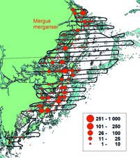 Figure. 20.National and regional midwinter distribution of Goosander Mergus merganser in Sweden 2015.