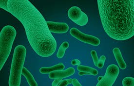 BioVersys and SARomics Biostructures join efforts to combat multidrug-resistant bacterial infections Antimicrobial resistance