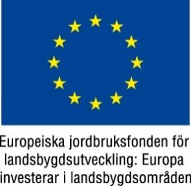 Rå dgivning fö rgrö