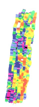800 ETAPP 2, BEFINTLIGT MATERIAL N 24 Ev2 [MPa] 600 400 Min [MPa] 344 Max [MPa] 630 Medel [MPa] 486 200 Linje väst Linje mitt Linje öst σ [MPa] 64,3 0 60 80 100 120 Sektion [MPa] Figur 4.