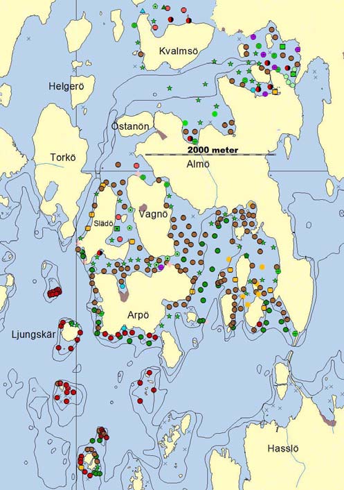 ISSN: 1402-6198 Rapport 2006:1 HÖGSKOLAN I KAL MAR Marin inventering av makrovegetation vid Almö, Kvalmsö och Listerby