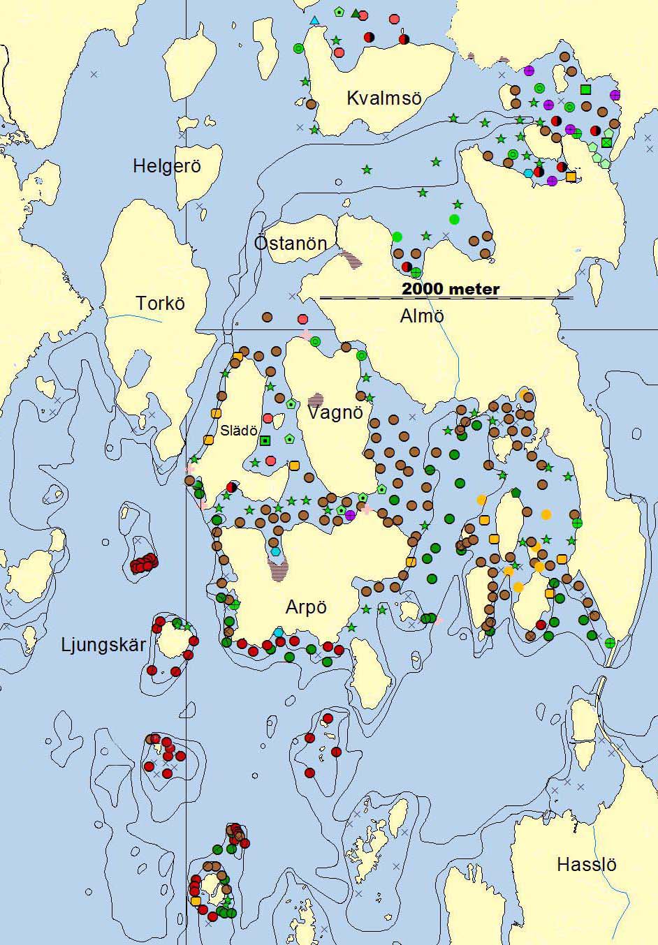 och RT 90 anges i bilaga 1. Den art eller högre taxonomisk grupp som dominerade, dvs som hade högst inbördes täckningsgrad på respektive lokal framgår av figur 2.