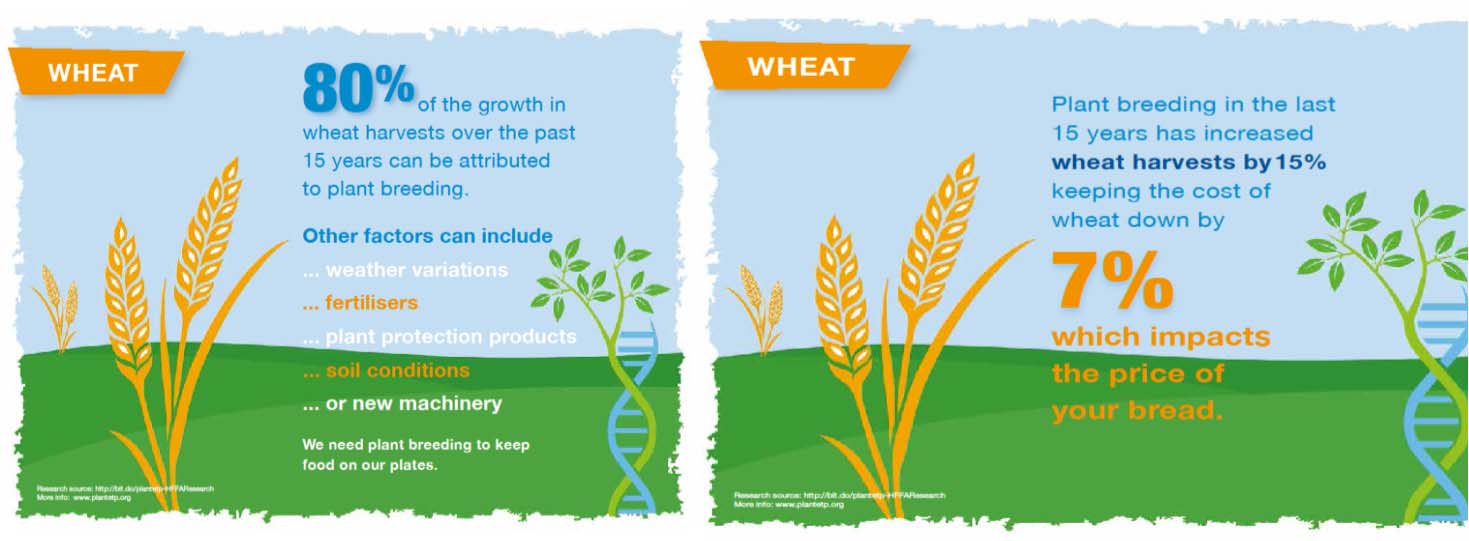 Value of plant breeding in EU report Aktiva program för växtförädling i Norden AUI Hordeum vulgare spring barley vårkorn perennial AUI Lolium perenne ryegrass engelskt rajgräs Boreal Avena sativa oat