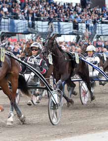 NYHETER 160926 Magnus tvåa i Svenskt Travoaks 160927 You to Neat tog andra raka Igår avgjordes det största loppet för landets treåriga ston, Svenskt Travoaks.