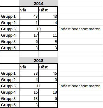 förflytta sig 200 meter med eller utan gånghjälpmedel. 2.1.
