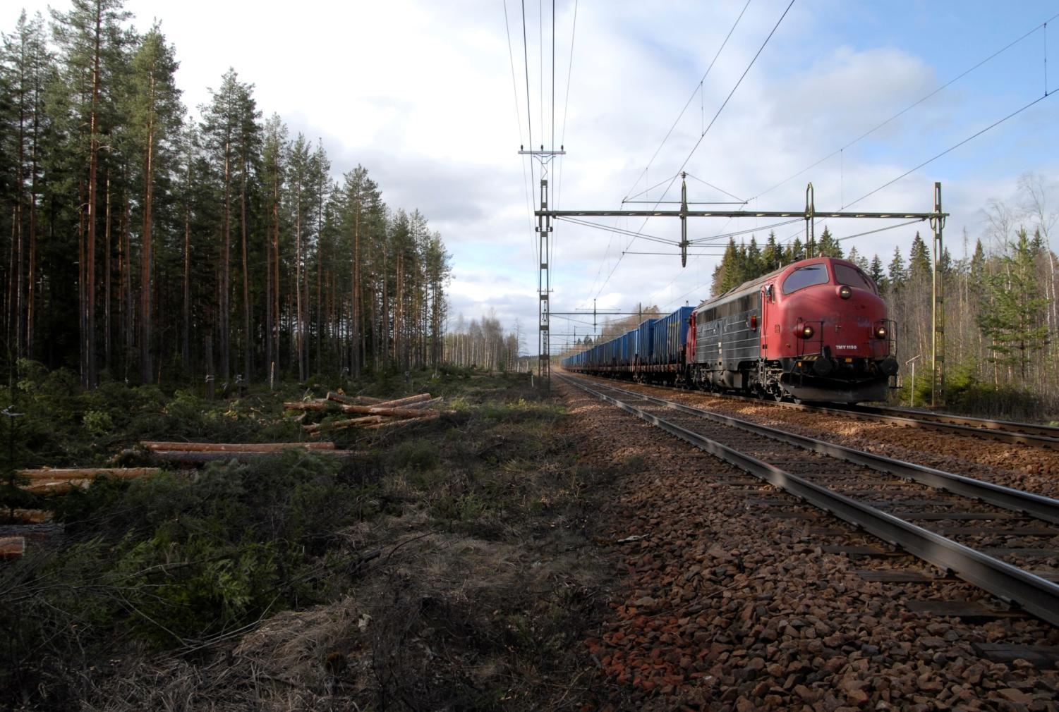 Vegetationsunderhåll