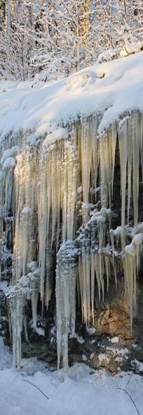 Upphandling Tilldelning Nord sektion Norrbotten - Ramböll Nord sektion Västerbotten/Ångermanland - Ramböll Mitt sektion Gävle/Dala - Ramböll Mitt sektion Jämtland/Västernorrland - Ramböll Öst/Sthlm