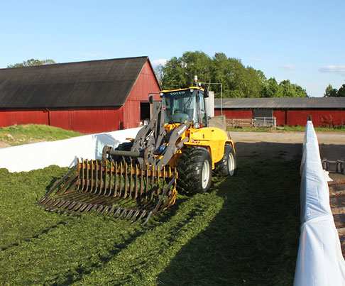 Sveriges lantbruksuniversitet Fakulteten för veterinärmedicin och husdjursvetenskap Swedish University of Agricultural Sciences Faculty of Veterinary Medicine and Animal Science Ensilering i plansilo