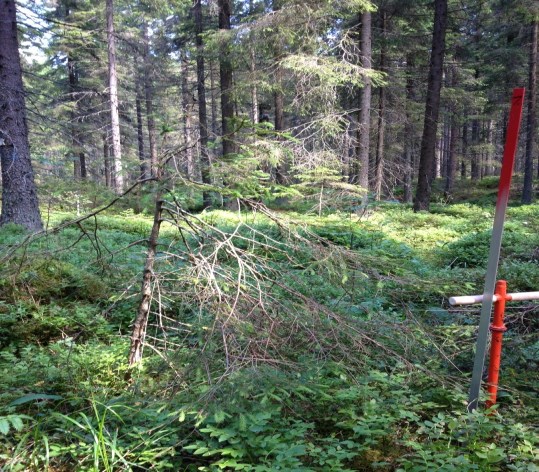 Bilaga 5 103 Dängnäs,