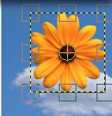 GIMP grund 8 - Friläggning Fotomontage Friläggning till fotomontage Öppna bilderna Gul blomma och Bla_himmel I Gimp finns några olika markeringsverktyg för att frilägga ett objekt eller område på en