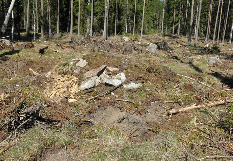 värde. Den stora mängden ar efter dessa arbetsplatser inom utredningsområdet, deras tydlighet och bevarandegrad, ger dem dock ganska höga upplevelsevärden.