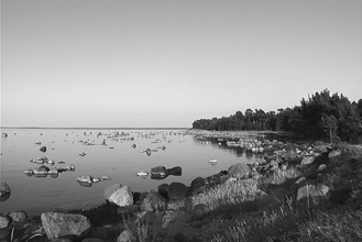 Den andra stranden Anders Hjemdahl och Camilla Andersson Sipsviken söderut mot Pajstranden Solnedgång över Odensholm Spithamnviken från udden Foton: Anders Hjemdahl Det var en varm sommarnatt på
