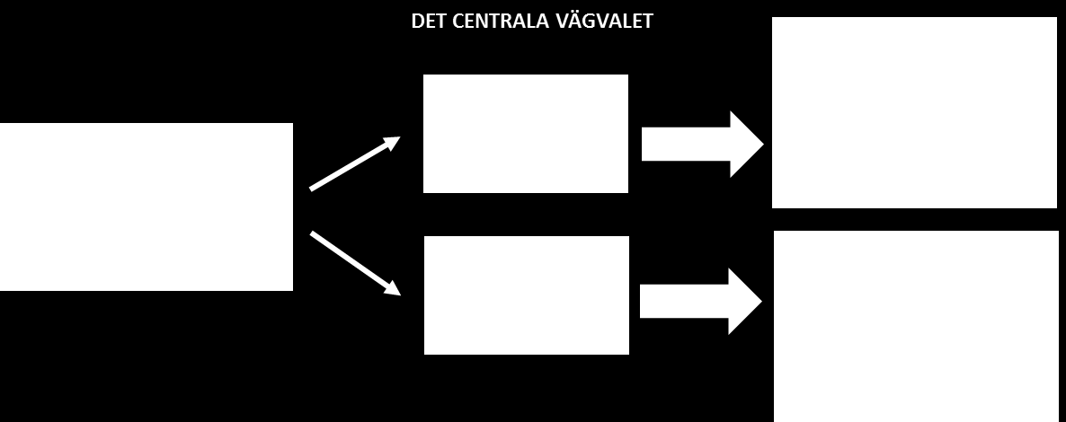 Vår erfarenhet är att detta är ett avgörande vägval.