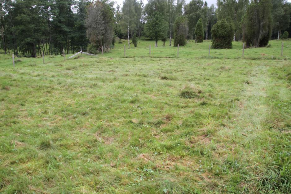 (motsvarande 24 mm vid fullformat). En bildfil har levererats till Länsstyrelsen i Jönköpings län efter varje säsong.