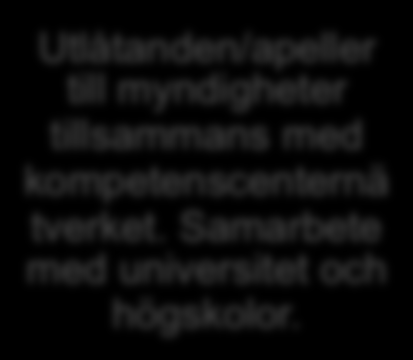 3 Fokusområden och åtgärder 3.