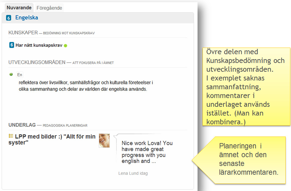 3) Pedagogisk Planering Omdöme finns som kommentar i planeringarna eller både planeringen OCH en sammanfattning i en fritextruta.